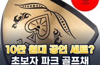 파크 골프채 추천 순위 TOP5: 초보자 기준