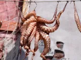 문어낚시대 추천 제품 TOP10+문어낚시꿀팁